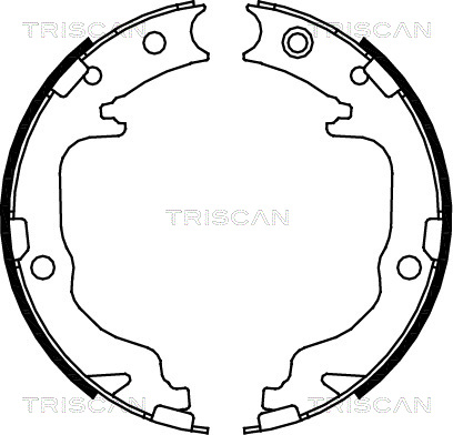 TRISCAN