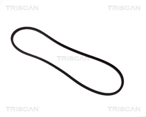 TRISCAN