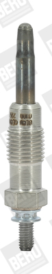 BORGWARNER (BERU)